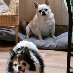 olga moser - @olg.am123 - Instagram