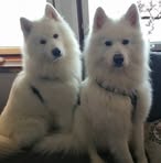 Olga Nilsson - Facebook