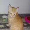 Olga Orrego648 - @olgaorrego648 - TikTok
