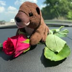 Olga Otter - @olga_otter_ - Instagram