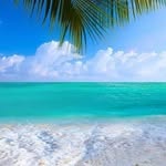 Olga Pace - @olga.pace.750 - Instagram