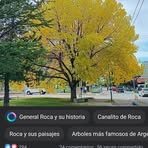 Olga Palomo - Facebook