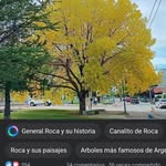Olga Palomo - @olga.palomo.79 - Instagram