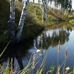 Olga Panchenko - @olga.panchenko.77 - Instagram