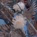 Olga Paredes - Facebook