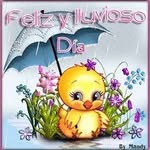 Olga Paredes - @olgaparedes41057 - Instagram