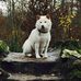 Olga Phillips - Facebook
