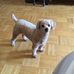 Olga Phillips - Facebook