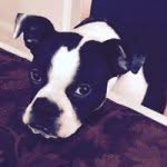 Olga Pierce - @okpie - Instagram