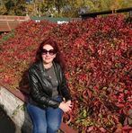 Olga Pilipenko - Facebook