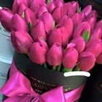 Olga Pina - @olga.pina.31 - Instagram