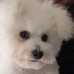 Olga Jo Adams Platt - @tmadotr - Instagram