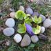 Olga Platt - Facebook