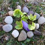 Olga Platt - @olgaplatt - Instagram