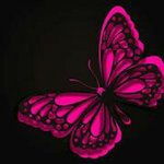 Olga Plummer - @butterfly_50169 - Instagram