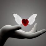 Olga Pollock - Facebook