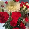 Olga Preciado - @olga.preciado5 - TikTok