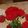 Olga Puga - @olgapuga - TikTok