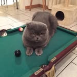 Olga pugachenko - @olgapugachenko8 - Instagram