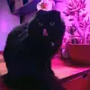 olga.queen - @olga.queen0 - TikTok