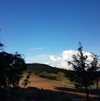 Olga Quezada - Facebook