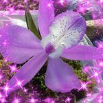 Olga Raya - @olga.raya.750 - Instagram