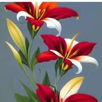 Olga Raya - Facebook
