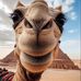 Olga Real Estate Hurghada  - Facebook