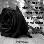 Olga Rendon - @olgarendon0720 - Instagram