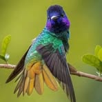 Olga Rendon - Facebook