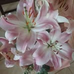 Olga Rendon - Facebook