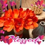 Olga Renner - Facebook