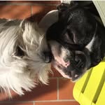 Olga e Ring Barbieri - @ring__olga - Instagram