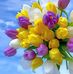 Olga Romanenko - Facebook