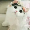Olga_Romanenko - @olga_rom76 - TikTok