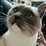 Ольга Роот - @olgaroot36 - Instagram