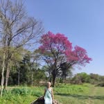 Olga Rosenberg - @carayasa - Instagram
