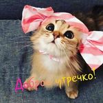 Olga Rouse's Instagram, Twitter & Facebook on IDCrawl