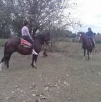 Olga Saavedra - Facebook