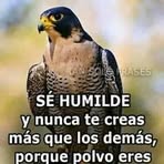 Olga Saavedra - Facebook
