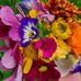 Olga Schierling - Facebook