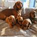 Olga Stuart - Facebook