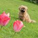 Olga Mennerun Talbot - Facebook