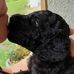 Olga Talbot - Facebook