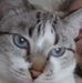 Olga Danner - Facebook