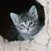 Olga Tkacheva - @olgatkacheva0802 - TikTok