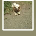 Olga Tobar - Facebook