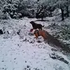 Olga Baltyson - @olga.baltyson - TikTok