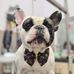 Olga Tyson - Facebook