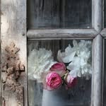 OLGA WALKER - @olgawalker6457 - Instagram